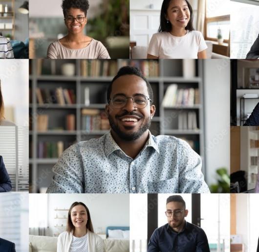 Screen shot of meeting participants