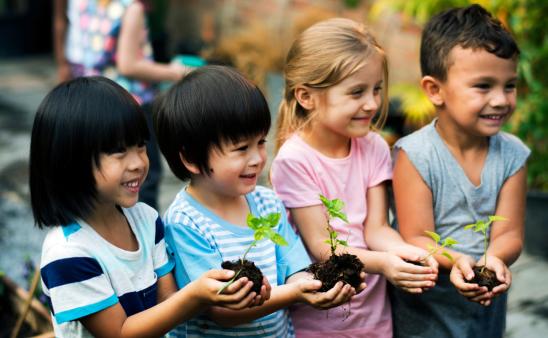 Group of kindergarten kids friends gardening agriculture.